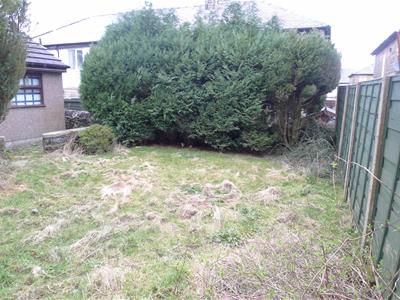 Picture 9